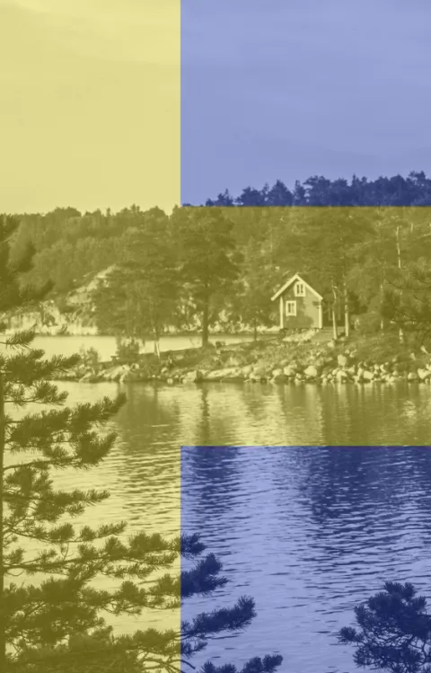 Svensk flagga över landskap