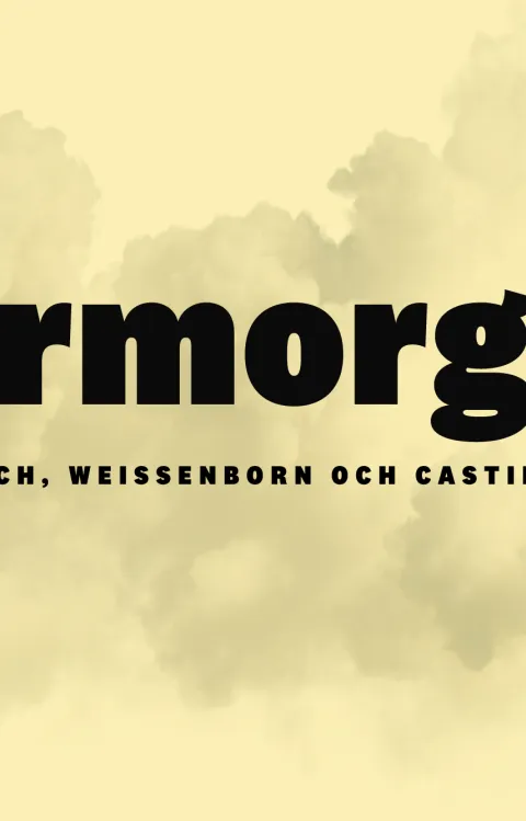 vårmorgon