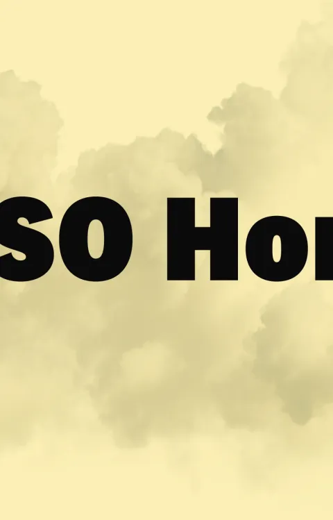 MSO Horn