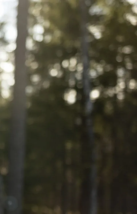 Bild på Peteris Vasks vars verk spelas av Malmö SymfoniOrkester i konserten Runt Östersjön med Sibelius och Vasks, jubileumssäsongen 2024–25 