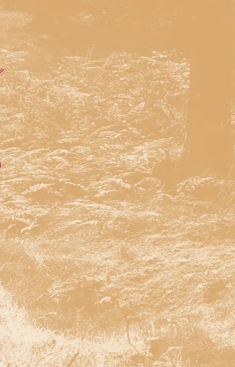 Dekorativ evenemangsbild till Verklärte Nacht med Malmö SymfoniOrkester, jubileumssäsongen 2024–25