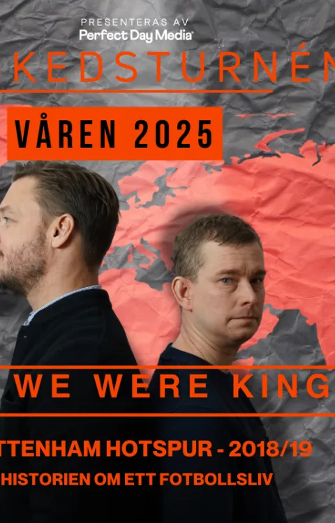 Dekorativ evenemangsbild till When We Were Kings