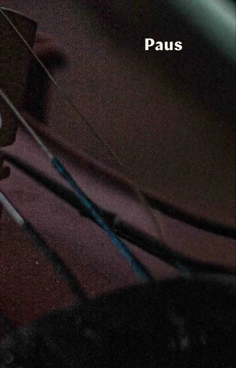 A close-up of a violin