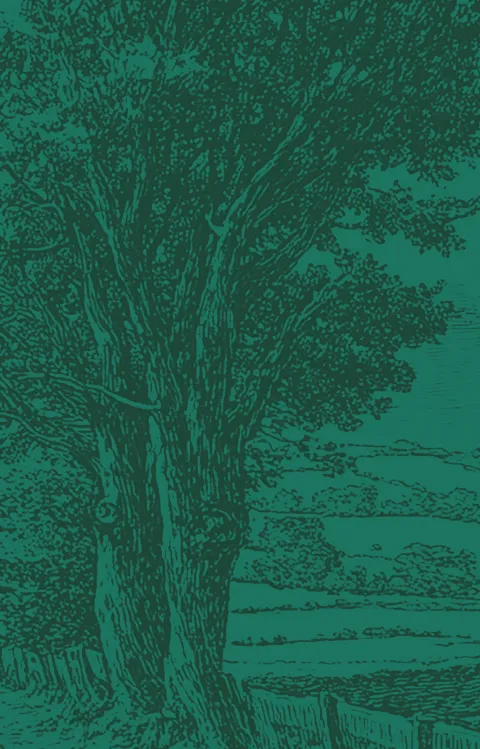 Dekorativ illustration över flygande fågel, evenemangsbild till Beethoven & Brabbins