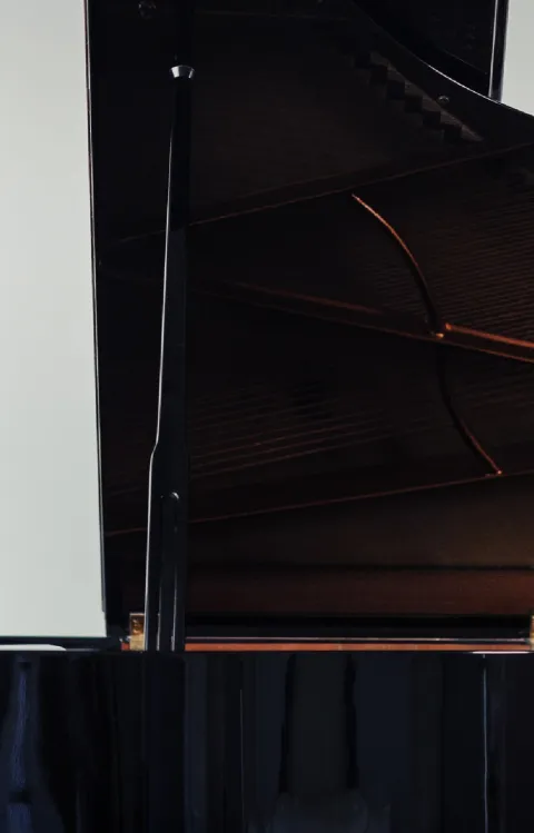 Anna Christensson, pianist under Griegs pianokonsert