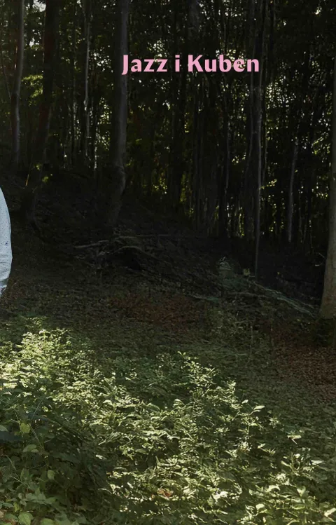 Emil Brandqvist Trio