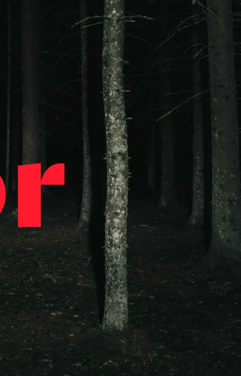 Dark forest, The Horror. Event image