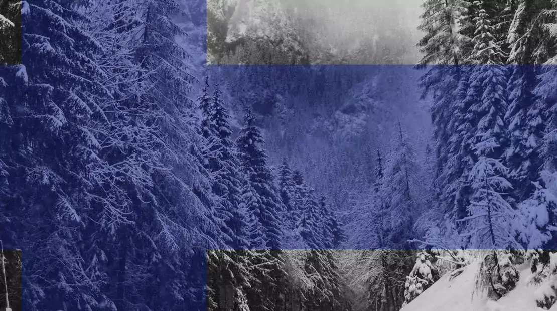Naturbild med Finländska flaggans färger