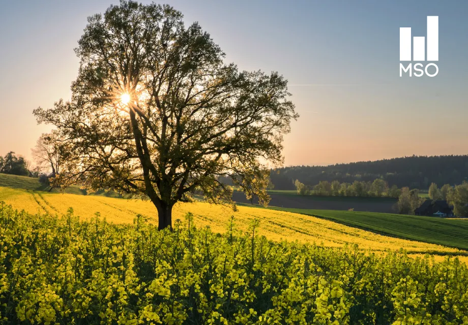 Svensk Sommar Nationaldagskonsert Malm Live Svensk Sommar Nationaldagskonsert Malm Live
