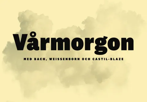 vårmorgon