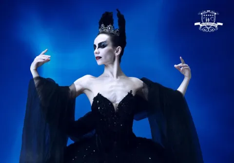 Swan lake