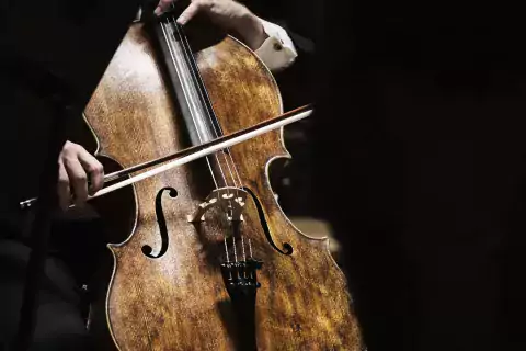 Närbild på cello