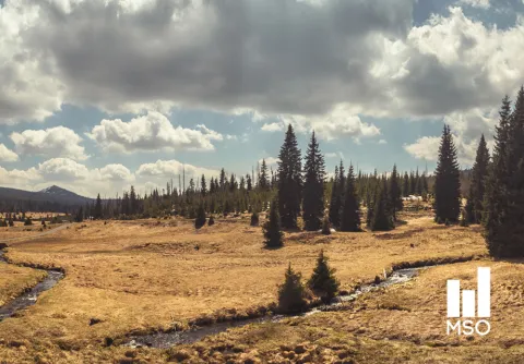 Malmo Symphony Orchestra Performs "From the New World"