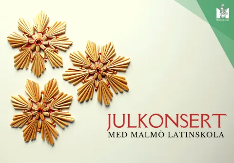 Malmö Latinskola julkonsert