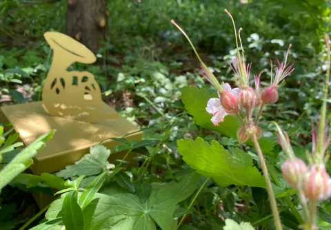 Ett gyllene horn, gömt i buskarna inför MSO:s sommarkonsert i Pildammsparken