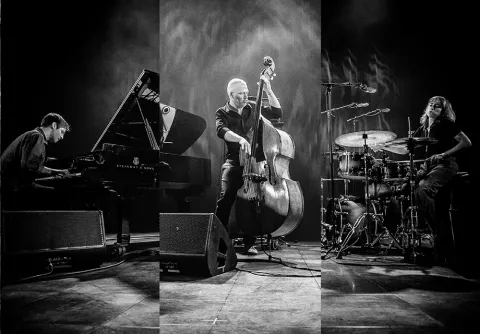 Event image for Avishai Cohen Trio, live at Malmo Live Concert Hall