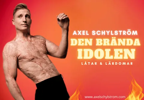 Den brända idolen - Axel Schylström