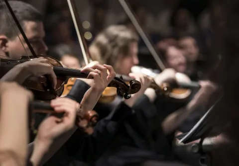 Musiker ur symfoniorkester