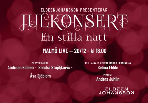 EldeenJohansson presenterar julkonserten En still natt på Malmö Live 20/12 kl.18.00 med Andreas Eldeen, Sandra Stojiljkovic, Åsa Sjöblom, Stilla Natt-kören under ledning av Selma Ehlde och pianist Anders Juhlin.