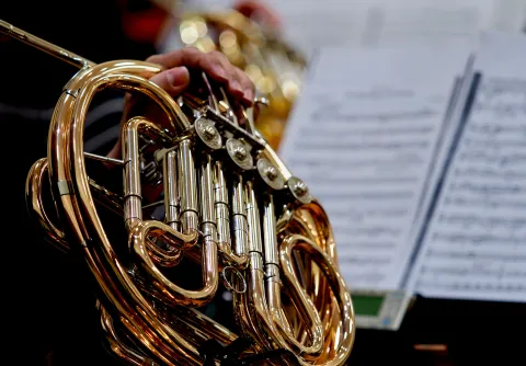 Event image for Chamber Concert #4 with Malmö Symphony Orchestra 2025