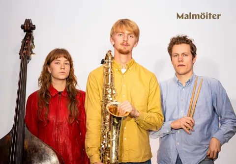 TriJoLi med sina instrument