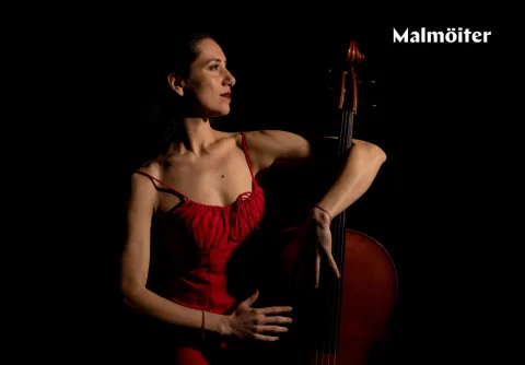 Malmöiter: Piazzolla Trio