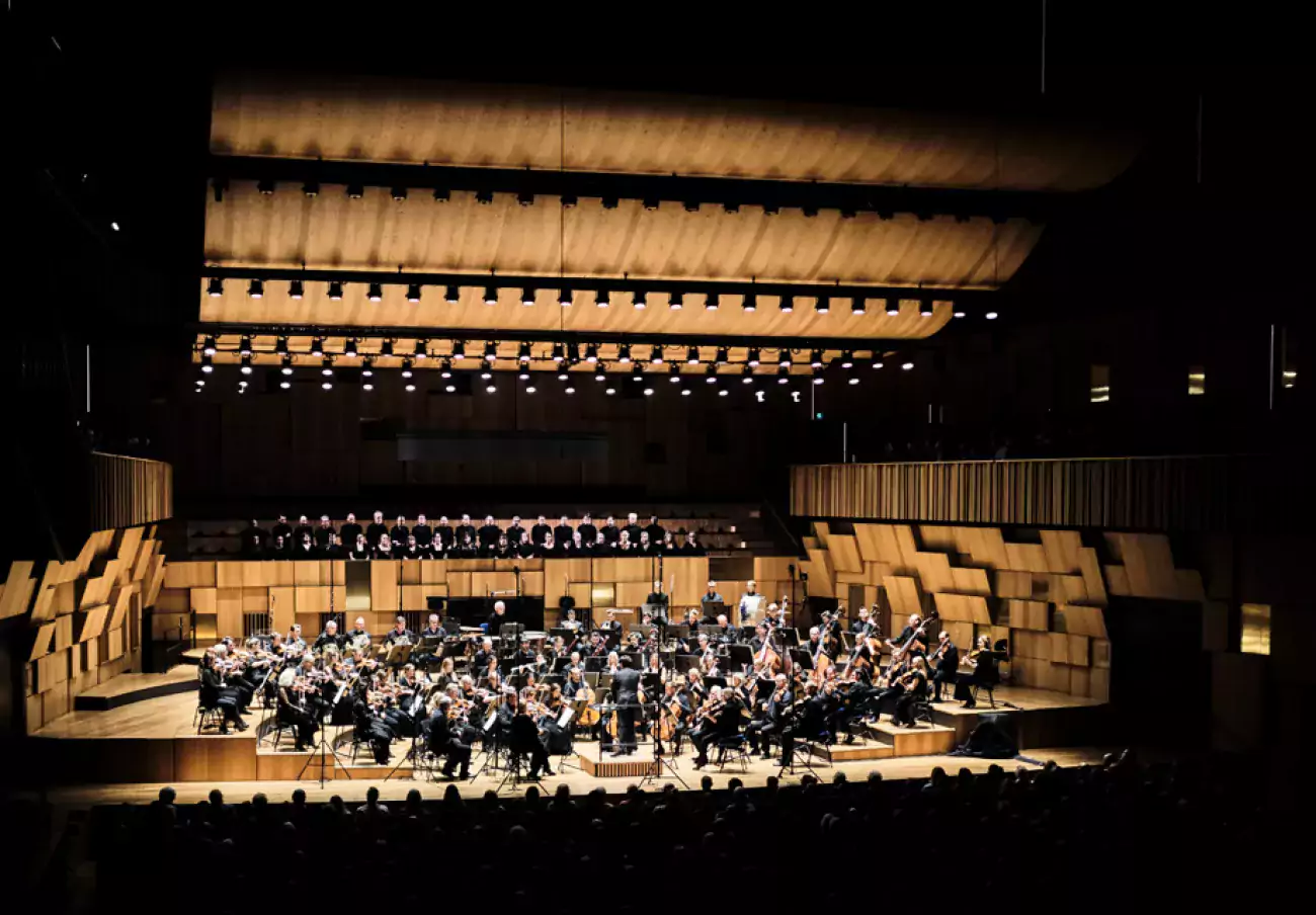 Malmo Symphony Orchestra
