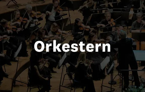 Promo orkestern
