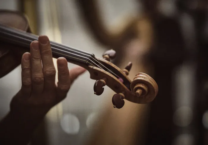 Violin i närbild