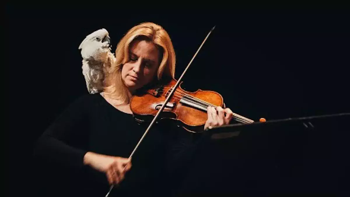MSO bakom musiken: Malin Nyström